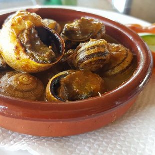 Caracoles