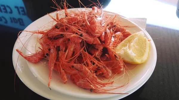 Langostinos del dia...
