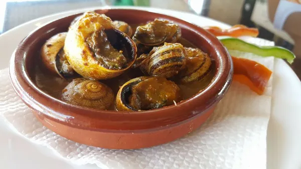 Caracoles