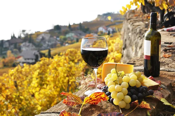 Gran Variedad de Vinos de La Palma